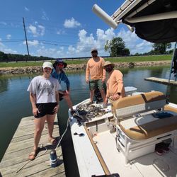 Four anglers fishing in Willis