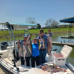 5 big brown bullhead, wiper, channel catfish, and largemouth bass caught in Willis