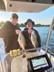 Two Wiper (Hybrid striped bass) fish caught while fishing in Willis