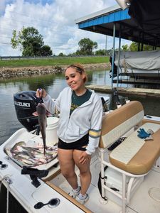 Catch of the day: A 15-inch Blue Catfish caught while fishing in TX