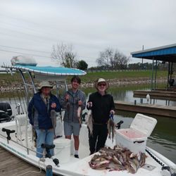 Two blue catfish caught in Willis, Texas