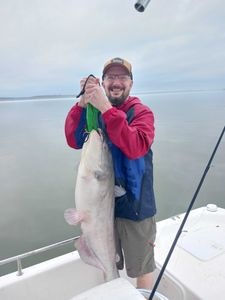 Blue Catfish caught while fishing in TX