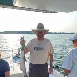 Blue catfish caught while fishing in TX