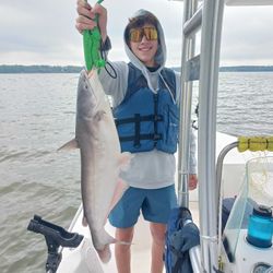 Blue catfish caught in TX