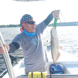 A single blue catfish caught in Willis