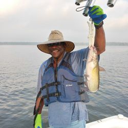 Photograph of a Blue Catfish caught by a fisherman in Willis