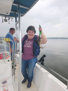 Blue Catfish caught in Willis, Texas