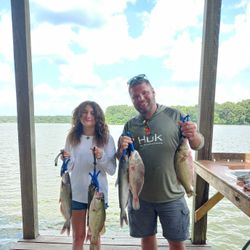 4 wiper and largemouth bass caught fishing in TX