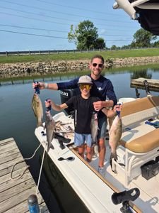 4 striped bass caught while fishing in Willis