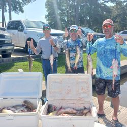 A group of 4 yellow bullhead fish caught in TX