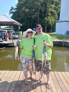 Happy catfish duo! Fun and feisty.