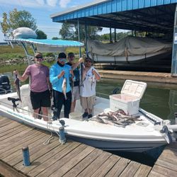 Action-packed haul of catfish!