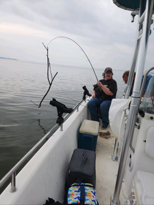 One person fishing in TX