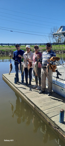 4 people fishing in TX