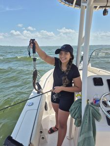 Angler fishing in Willis