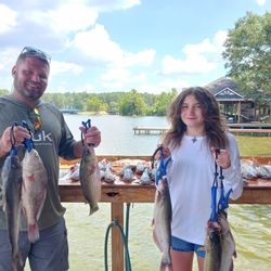 Four wiper (hybrid striped bass) and white catfish caught while fishing in Willis