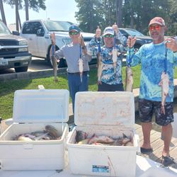 5 blue and white catfish caught fishing in TX