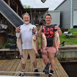 Four large striped bass and one blue catfish caught while fishing in Willis