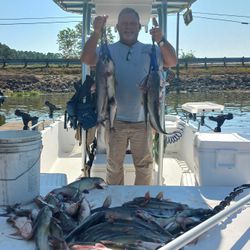 Two hardhead sea catfish caught while fishing in Willis