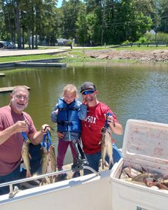 3 hardhead sea catfish caught fishing in Willis