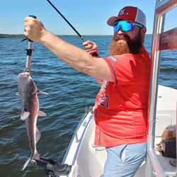 Gafftopsail sea catfish, 23 inches, fishing in TX