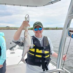 Catch of the day: An 18-inch channel catfish reeled in from Willis