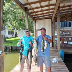 Two striped bass caught fishing in TX