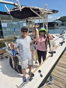 2 white bass and wiper (hybrid striped bass) fish caught in TX
