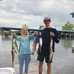 Three blue and white catfish caught while fishing in TX