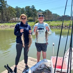 3 blue catfish, striped bass, and white catfish caught fishing in Willis