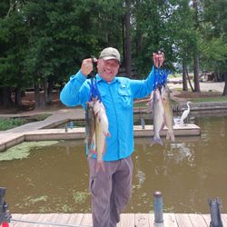 Two white catfish and blue catfish caught in Willis, Texas