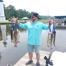 Two white catfish caught in Willis, Texas
