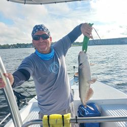 A white catfish caught while fishing in TX