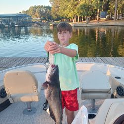 White Catfish caught fishing in Willis