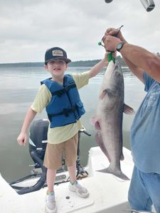 Photograph of a white catfish, 29 inches long, caught in TX