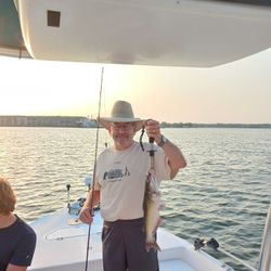 Image of a 15-inch white catfish caught while fishing in Willis