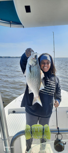 Wiper (Hybrid striped bass) fish caught in Willis