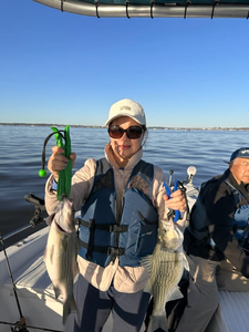 Two wiper (hybrid striped bass) fish caught in Willis