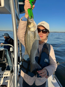 Wiper (Hybrid striped bass) caught by two anglers in Willis
