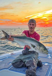 Bluefish caught while fishing in CT