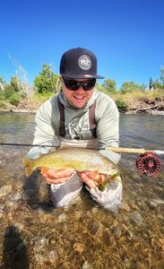 Cutthroat trout caught fishing in Milford