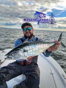 Little Tunny fish measuring 24 inches caught while fishing in CT