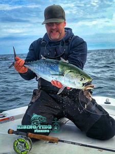 Little Tunny fish caught while fishing in Milford