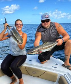 Two cobia fishing in Milford