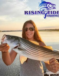 Striped bass caught fishing in Milford