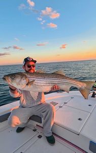 Large striped bass caught during fishing trip in Milford CT waters at sunset