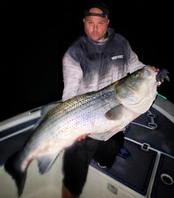 Lone angler fishing in Connecticut