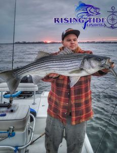 Striped bass caught while fishing in CT