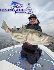 Striped bass caught in CT