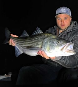 Striped bass caught while fishing in CT